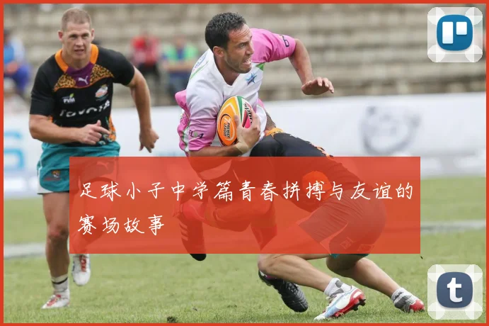 足球小子中学篇青春拼搏与友谊的赛场故事
