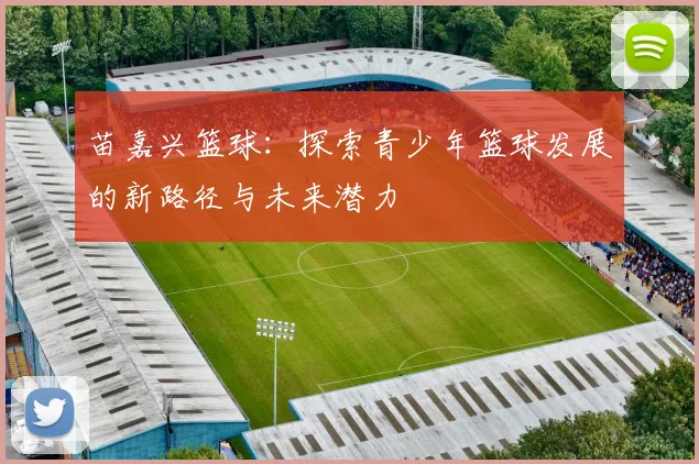 苗嘉兴篮球：探索青少年篮球发展的新路径与未来潜力