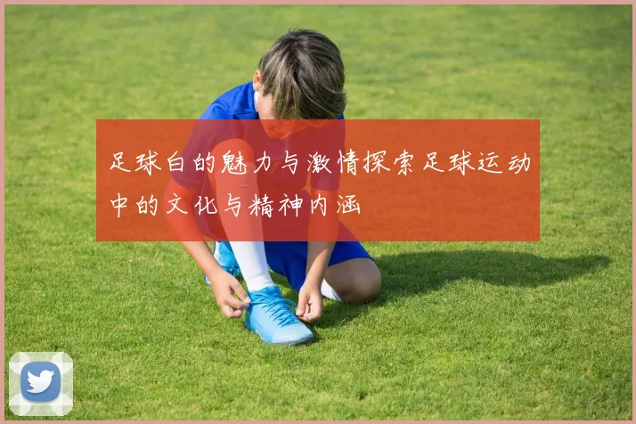 足球白的魅力与激情探索足球运动中的文化与精神内涵