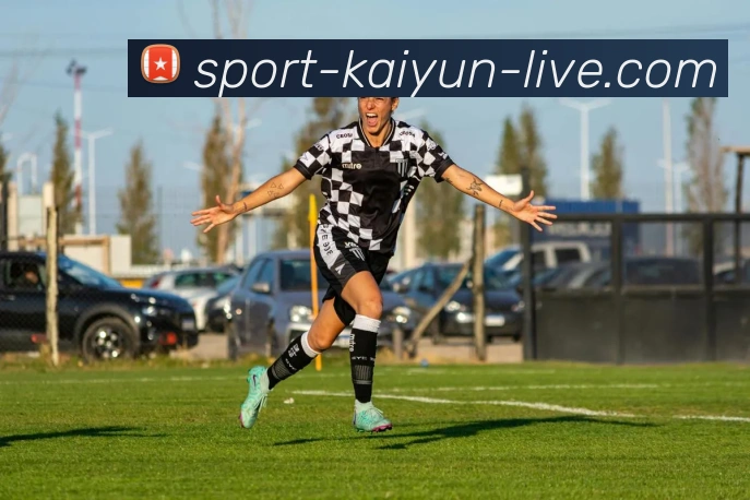 开云官网平台生态图