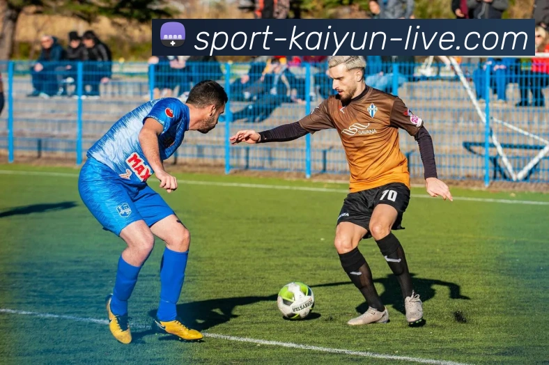 开云官网全站App